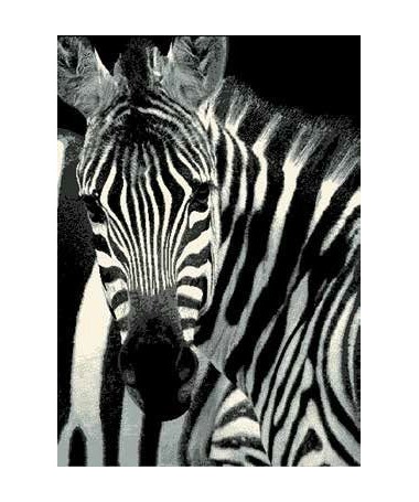 Dywan Nowoczesny Fantastik Czarny Zebra
