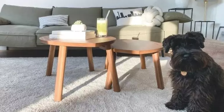 Odkształcenia na dywanie - jak sobie z nimi poradzić?